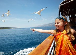 Klik om meer foto's te zien